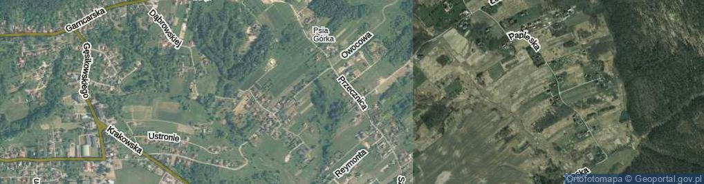 Zdjęcie satelitarne Przecznica ul.